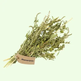 Amarant groen