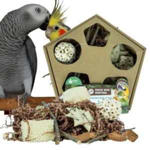 Pentagon Foraging & Play Box