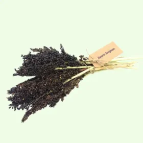 Zwarte sorghum