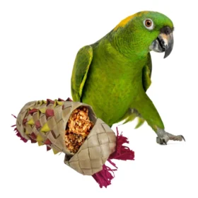 Napa Vogelspeelgoed