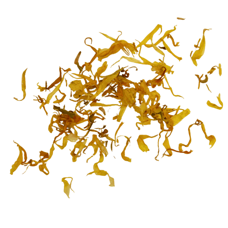 Goudsbloem - Afbeelding 2