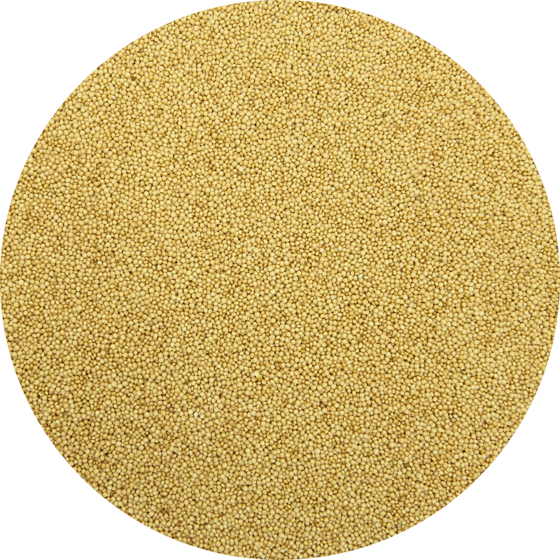 Amaranth
