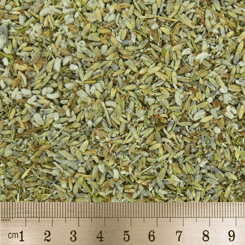 Lavendel - Afbeelding 3