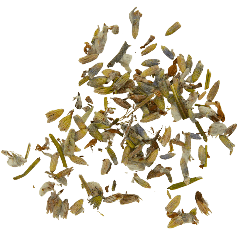 Lavendel - Afbeelding 2