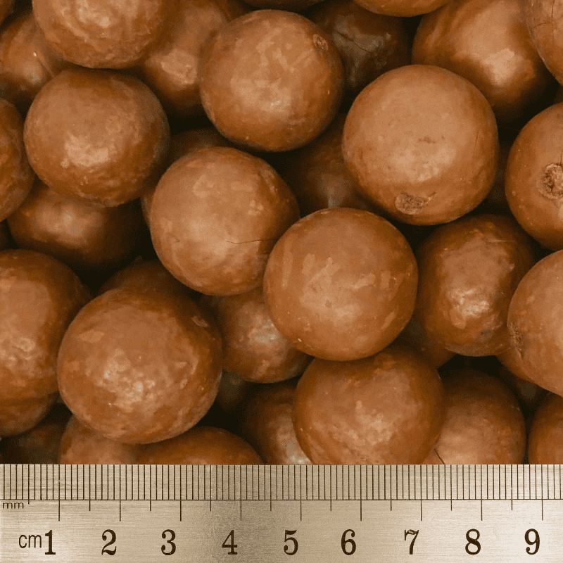 Macadamianoot in dop - Afbeelding 3