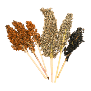 sorghum mix